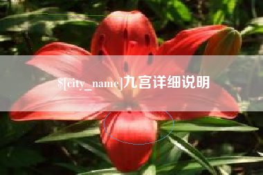 玉树九宫详细说明