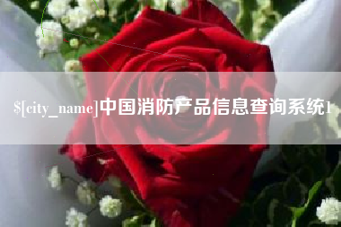 玉树中国消防产品信息查询系统1