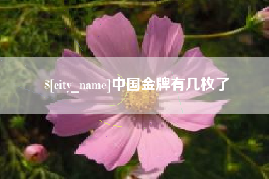玉树中国金牌有几枚了