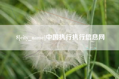 玉树中国执行执行信息网