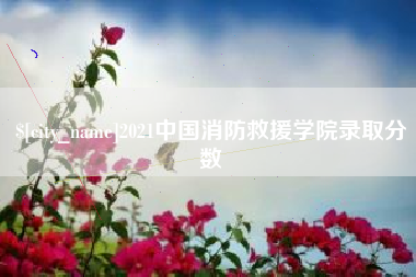 玉树2021中国消防救援学院录取分数