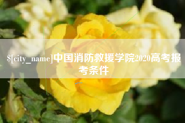 玉树中国消防救援学院2020高考报考条件