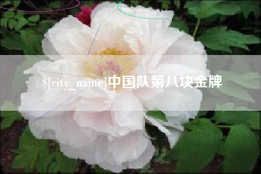 玉树中国队第八块金牌