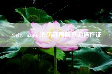 玉树消防证国网查询操作证