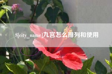 玉树九宫怎么排列和使用