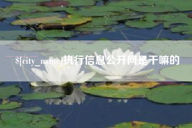 玉树执行信息公开网是干嘛的