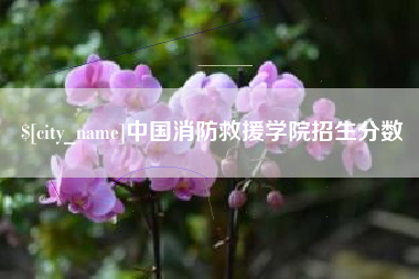 玉树中国消防救援学院招生分数