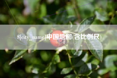 玉树中国地图(含比例尺)