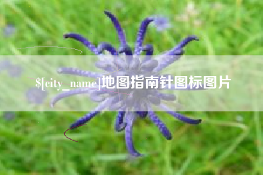 玉树地图指南针图标图片