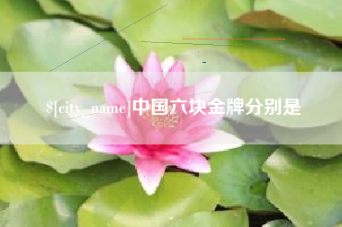 玉树中国六块金牌分别是