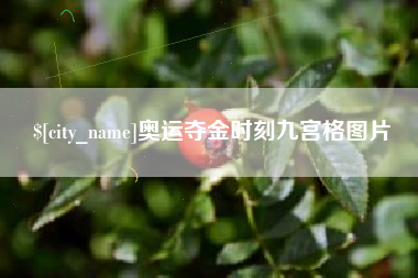 玉树奥运夺金时刻九宫格图片