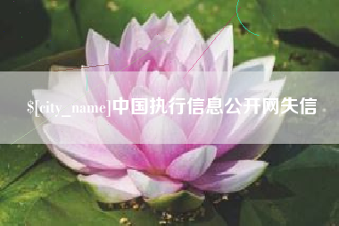 玉树中国执行信息公开网失信