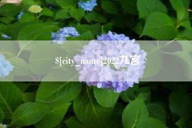 玉树2022九宫
