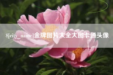 玉树金牌图片大全大图卡通头像
