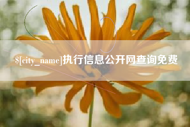 玉树执行信息公开网查询免费