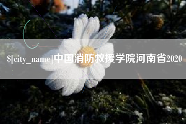 玉树中国消防救援学院河南省2020